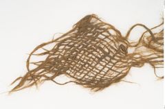 Foto von Textil (NHMW-PRAE-126324)